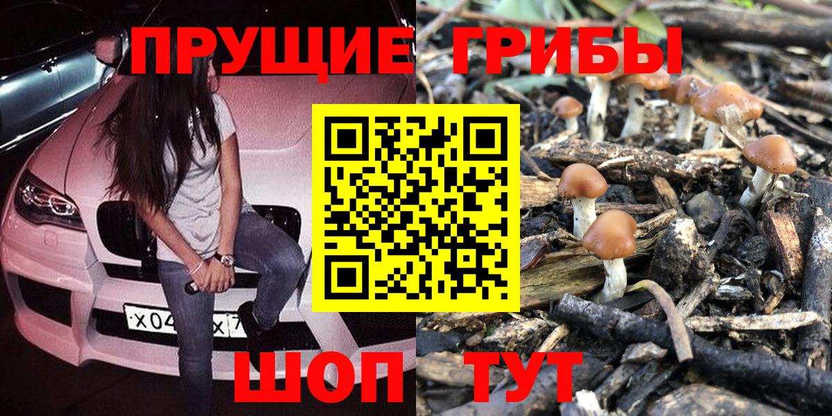 Псилоцибиновые грибы ЛСД Воронеж